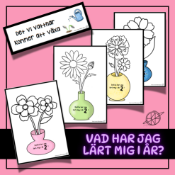 Vad har jag lärt mig - blommor!