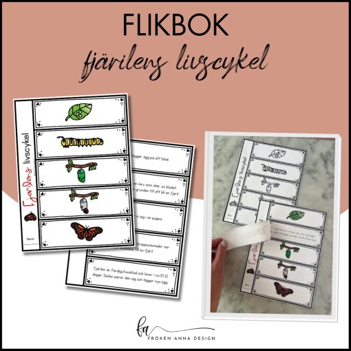 Fjärilens livscykel: Flikbok