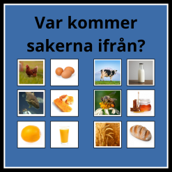 Var kommer sakerna ifrån?