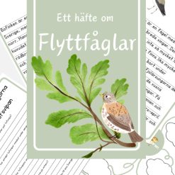 Arbetshäfte om flyttfåglar