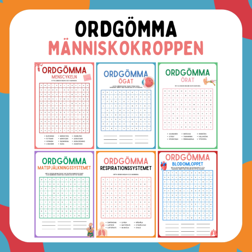 Ordgömma: Människokroppen (flerpack)