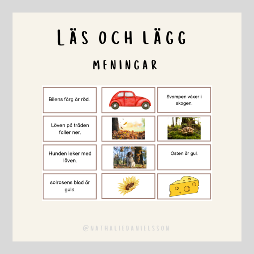 Läs och lägg - meningar