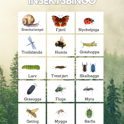Insektsbingo