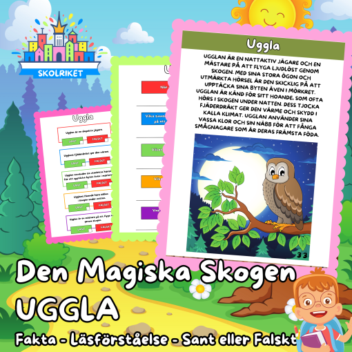 Den magiska skogen – UGGLA – Fakta – Läsförståelse – Sant eller Falskt