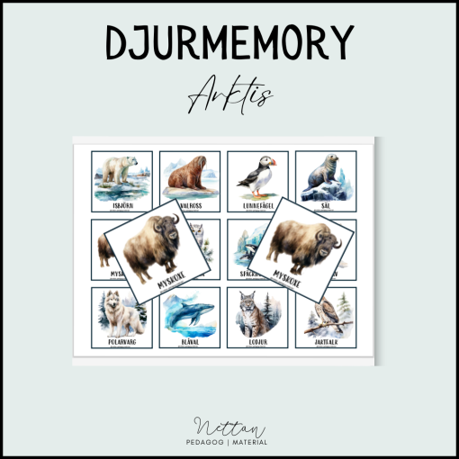 Memory - djur i Arktis