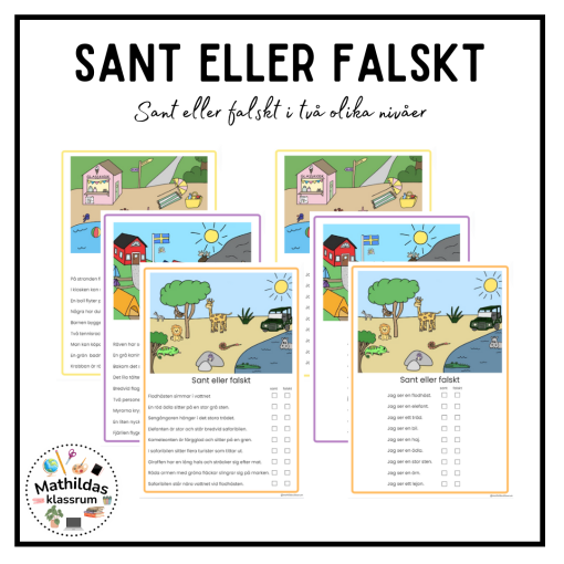 Sant eller falskt- 2 nivåer