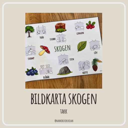 Bildkarta skogen