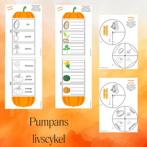 Pumpans livscykel