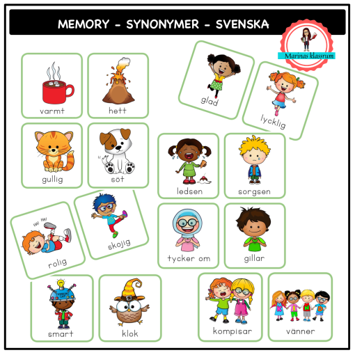 Memory - synonymer - svenska