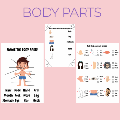 Engelska - Body parts