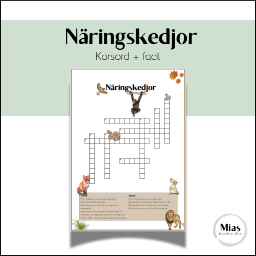 Näringskedjor: Korsord