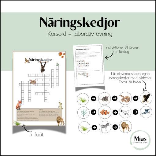 Näringskedjor (korsord + laborativ övning))