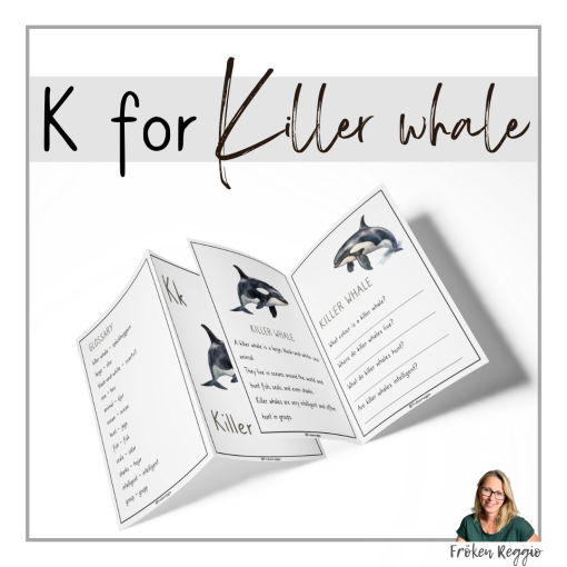 K for Killer whale