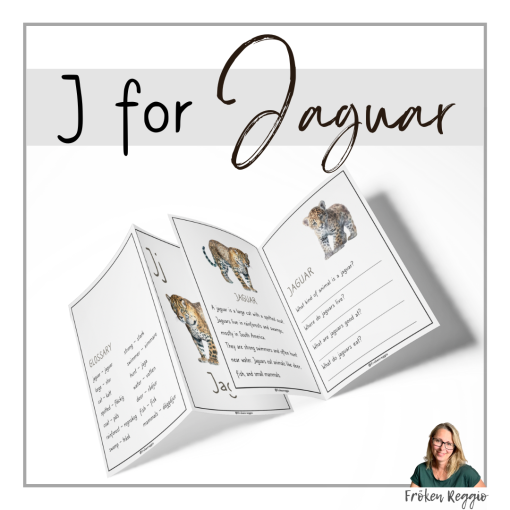 J for Jaguar