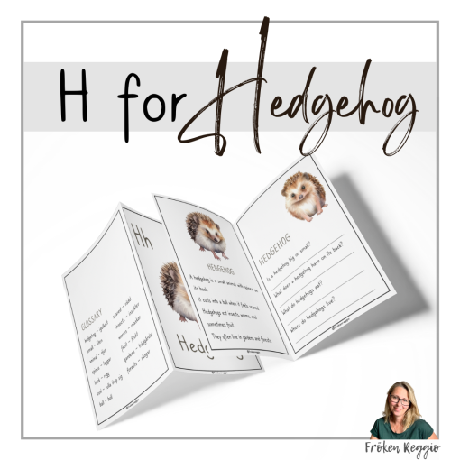 H for Hedgehog