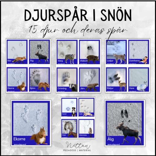 Djurspår i snön