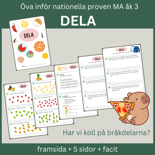 Dela - Har vi koll på bråkdelarna? Öva inför nationella proven åk 3. 5 sidor med facit.