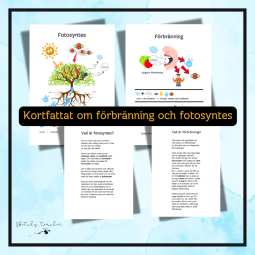 Kortfattat om fotosyntes och förbränning