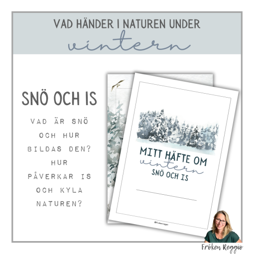 Vad händer i naturen under vintern - snö och is