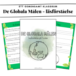 De Globala målen - läsförståelse på 2 nivåer