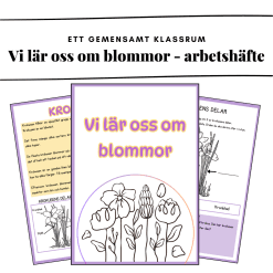 Vi lär oss om blommor - arbetshäfte