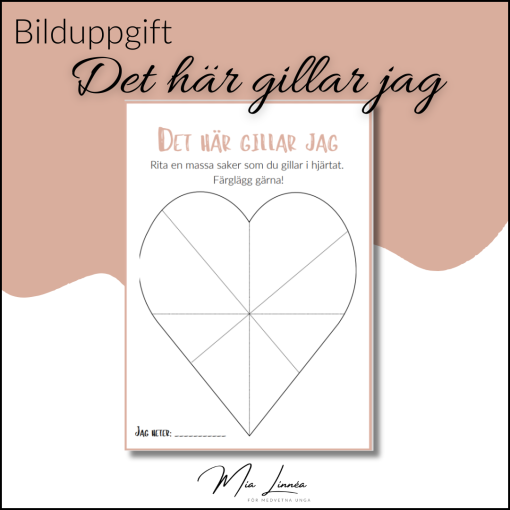 Det här gillar jag