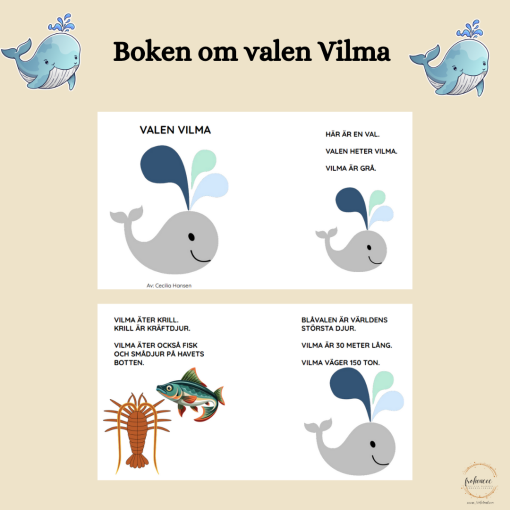 Boken om valen Vilma