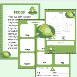 Frogs