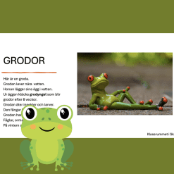 Fakta om grodor