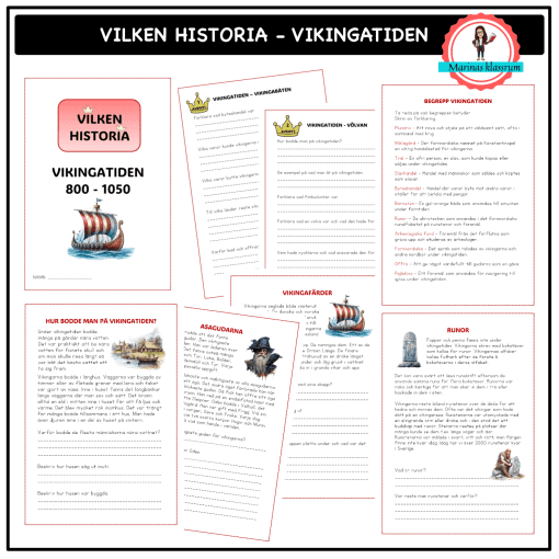 Vilken historia - Vikingatiden