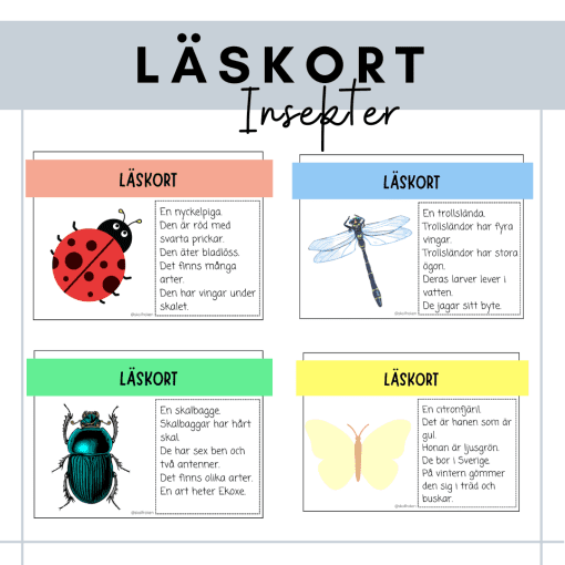 Läskort - insekter