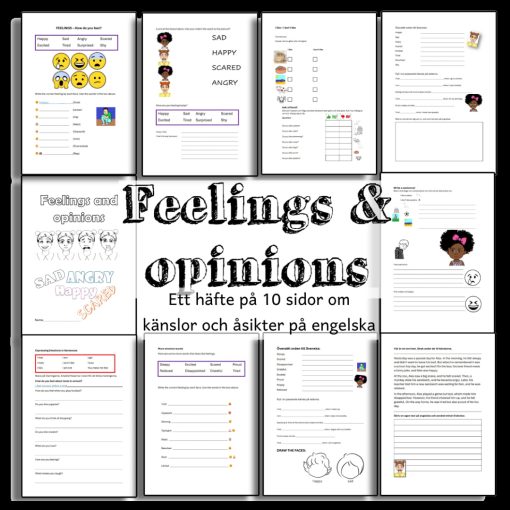 Känslor och åsikter - feelings and opinions