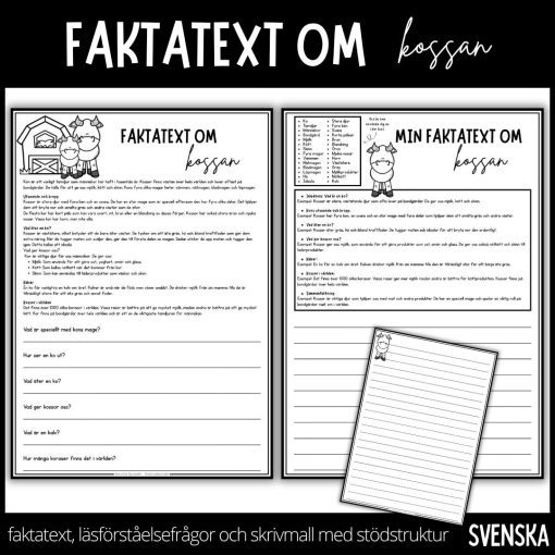 Dags att läsa, svara på frågor och skriva - faktatext om kossan
