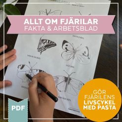 Fjärilens livscykel