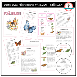 Om fjärilen - åk 2-3 - djur som förändrar världen