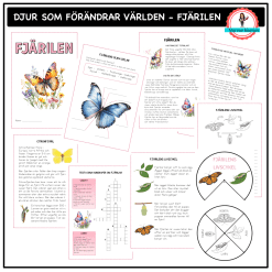 Om fjärilen - åk 4-6 - djur som förändrar världen
