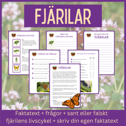 Fjärilar - läsförståelse och skrivuppgifter