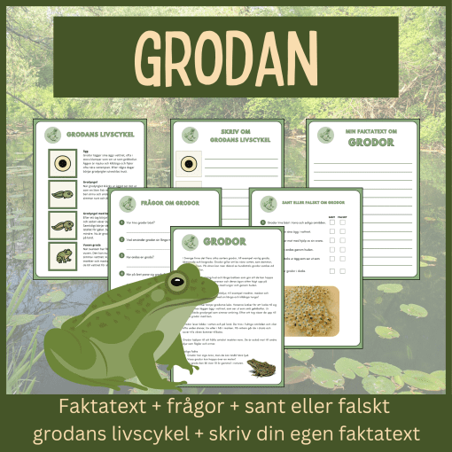 Grodan – läsförståelse och skrivuppgifter
