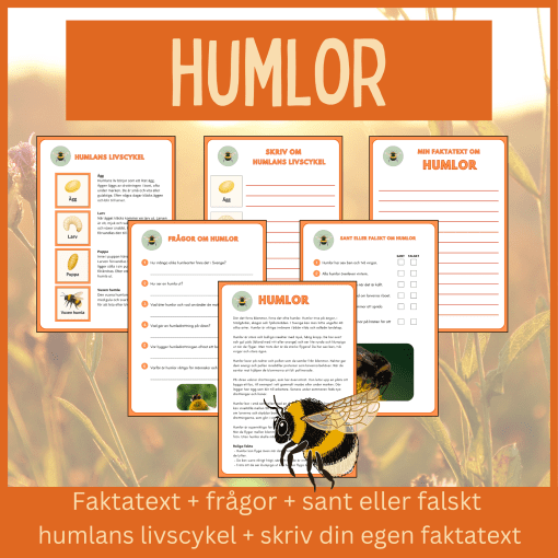 Humlor – läsförståelse och skrivuppgifter